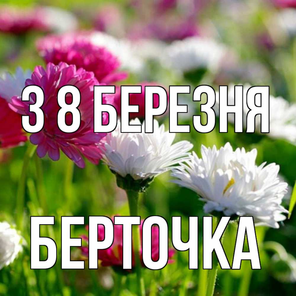 Открытка на каждый день з підписом, Берточка З 8 БЕРЕЗНЯ международный женский день 1 Прикольна листівка з побажанням онлайн скачати безкоштовно 