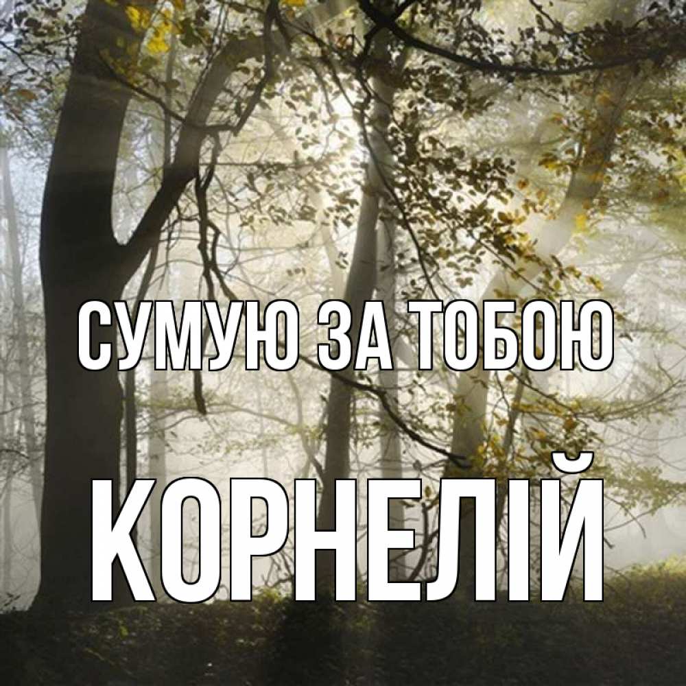 Открытка на каждый день з підписом, Корнелій Сумую за тобою грустно Прикольна листівка з побажанням онлайн скачати безкоштовно 