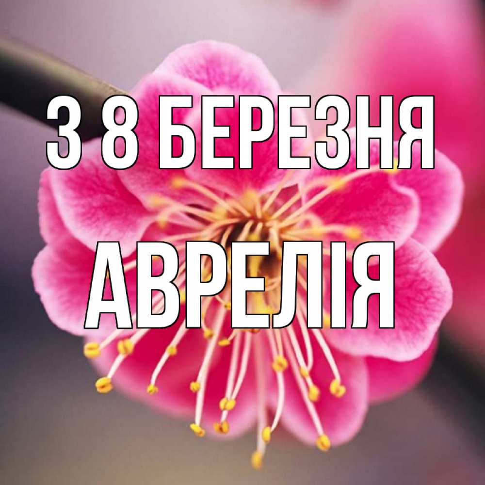 Открытка на каждый день з підписом, Аврелія З 8 БЕРЕЗНЯ цветы Прикольна листівка з побажанням онлайн скачати безкоштовно 
