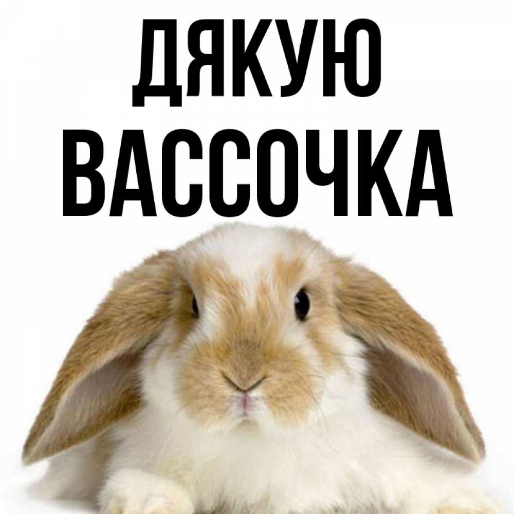 Открытка на каждый день з підписом, Вассочка Дякую коричнево белый заяц Прикольна листівка з побажанням онлайн скачати безкоштовно 