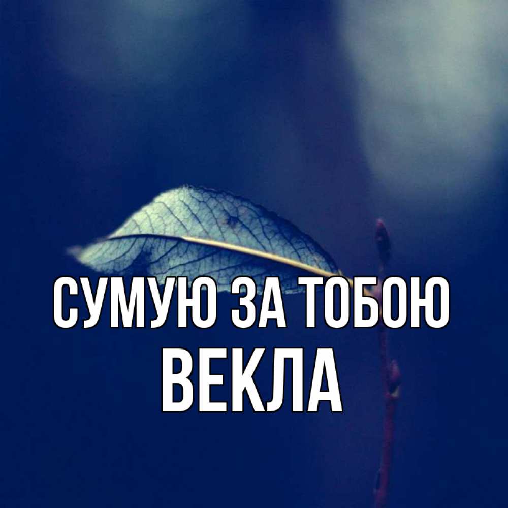 Открытка на каждый день з підписом, Векла Сумую за тобою одна ветка 1 Прикольна листівка з побажанням онлайн скачати безкоштовно 