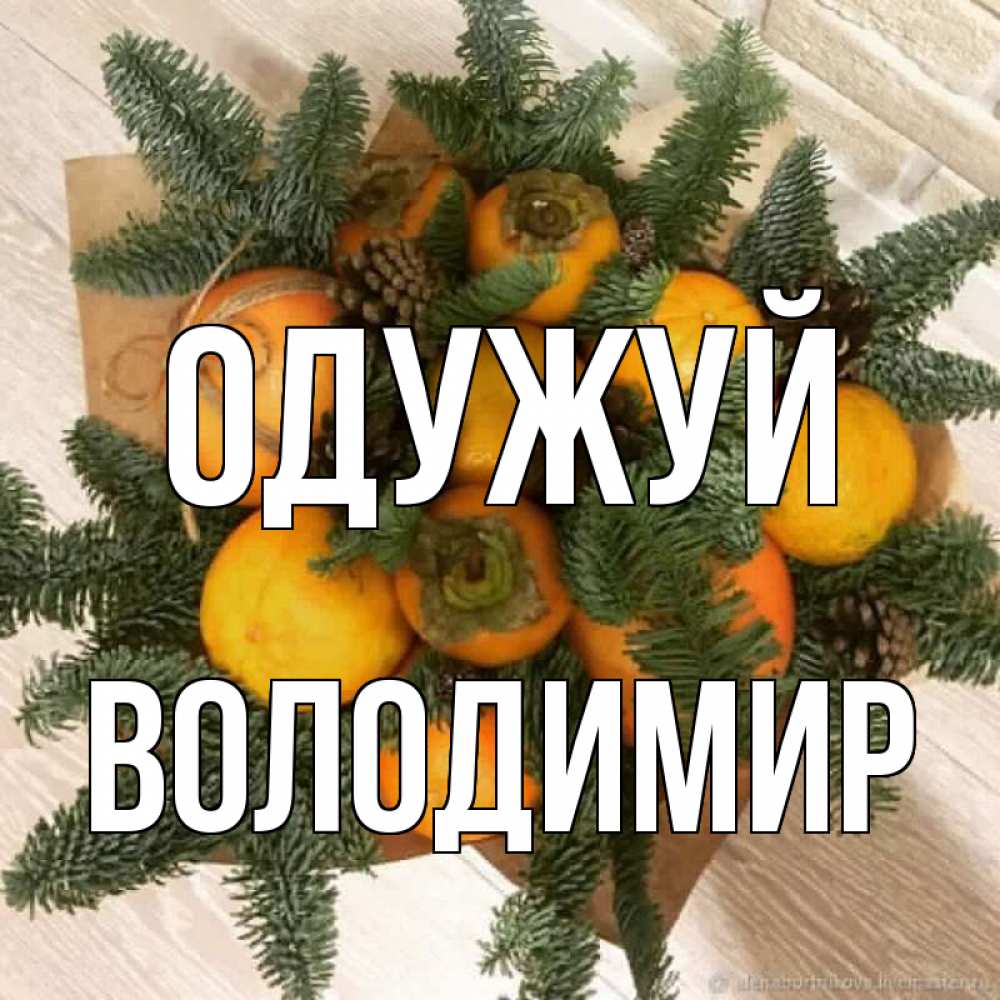Открытка на каждый день з підписом, Володимир Одужуй апельсины и хурьма Прикольна листівка з побажанням онлайн скачати безкоштовно 