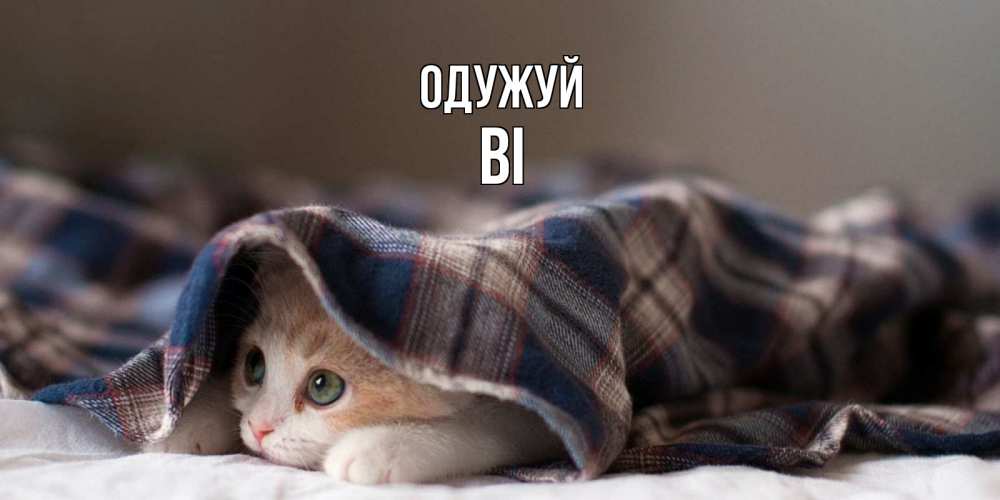 Открытка на каждый день з підписом, Ві Одужуй не болейте с котиком Прикольна листівка з побажанням онлайн скачати безкоштовно 