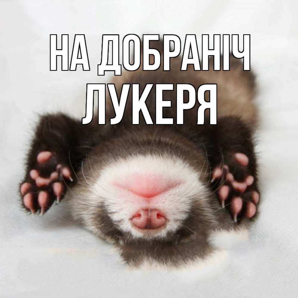 Открытка на каждый день з підписом, Лукеря На добраніч зверек Прикольна листівка з побажанням онлайн скачати безкоштовно 