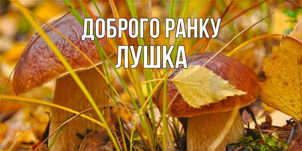 Открытка на каждый день з підписом, Лушка Доброго ранку осенние грибы Прикольна листівка з побажанням онлайн скачати безкоштовно 