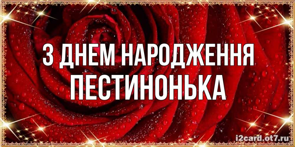 Открытка на каждый день з підписом, Пестинонька З Днем народження роса на розе блестящая в лучах солнца Прикольна листівка з побажанням онлайн скачати безкоштовно 