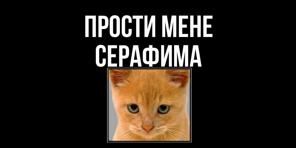 Открытка на каждый день з підписом, Серафима Прости мене рыжий грустный кот просит прощения Прикольна листівка з побажанням онлайн скачати безкоштовно 