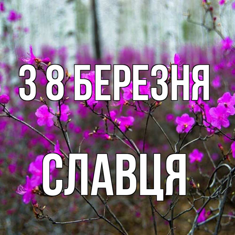 Открытка на каждый день з підписом, Славця З 8 БЕРЕЗНЯ дикие цветы Прикольна листівка з побажанням онлайн скачати безкоштовно 