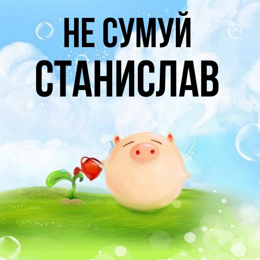 Открытка на каждый день з підписом, Станислав Не сумуй поливает цветок порося Прикольна листівка з побажанням онлайн скачати безкоштовно 