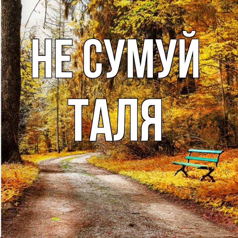 Открытка на каждый день з підписом, Таля Не сумуй зеленая лавочка Прикольна листівка з побажанням онлайн скачати безкоштовно 
