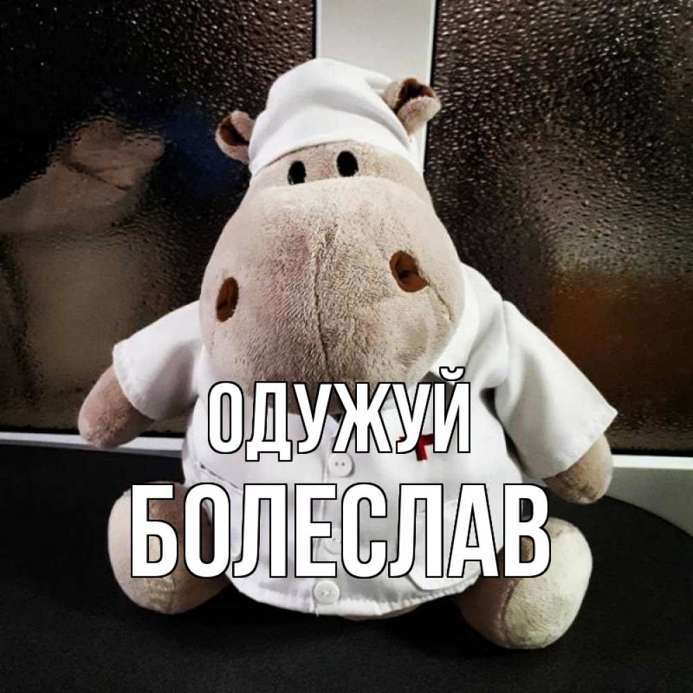 Открытка на каждый день з підписом, Болеслав Одужуй всех излечит исцелит Прикольна листівка з побажанням онлайн скачати безкоштовно 