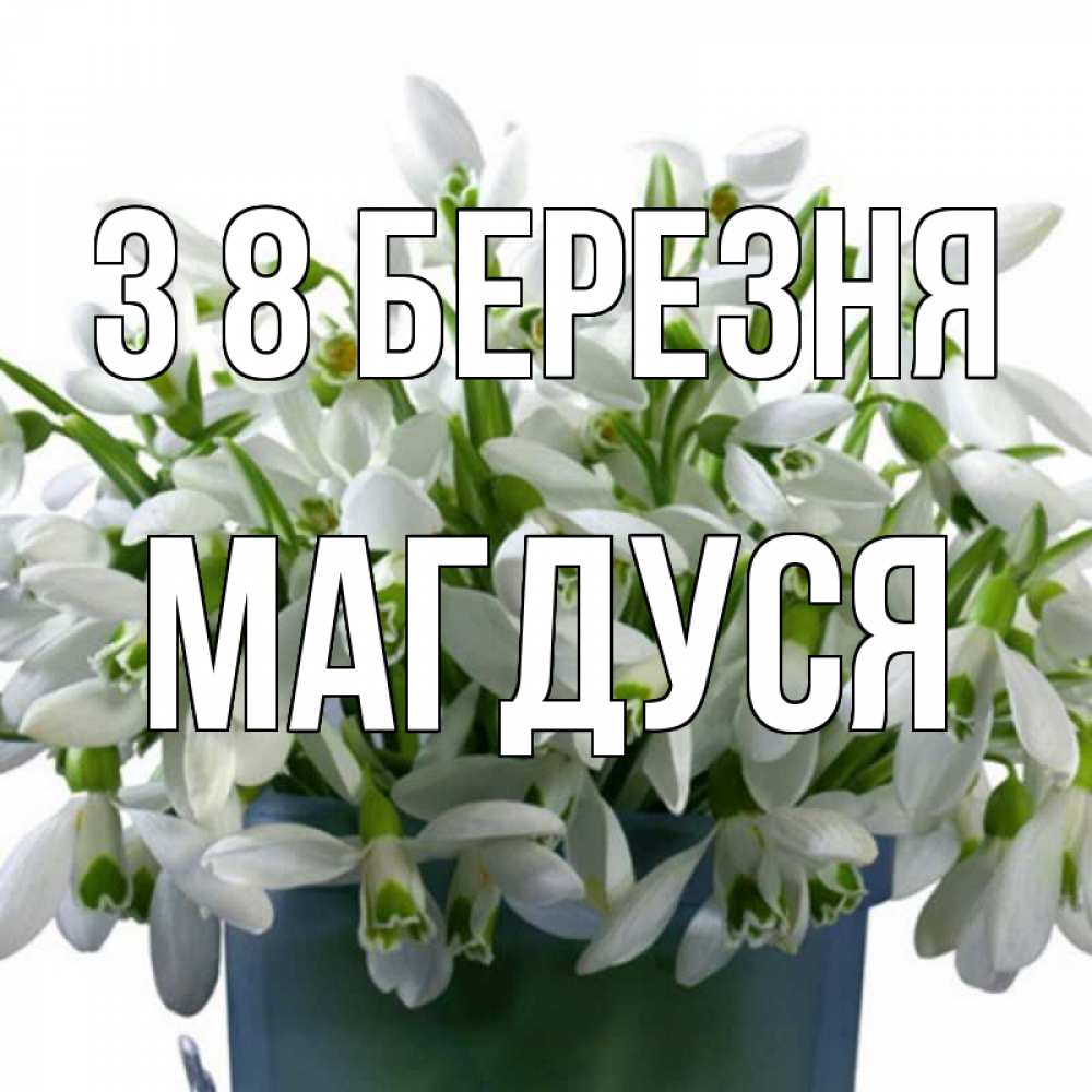 Открытка на каждый день з підписом, Магдуся З 8 БЕРЕЗНЯ цветы к международному женскому дню Прикольна листівка з побажанням онлайн скачати безкоштовно 