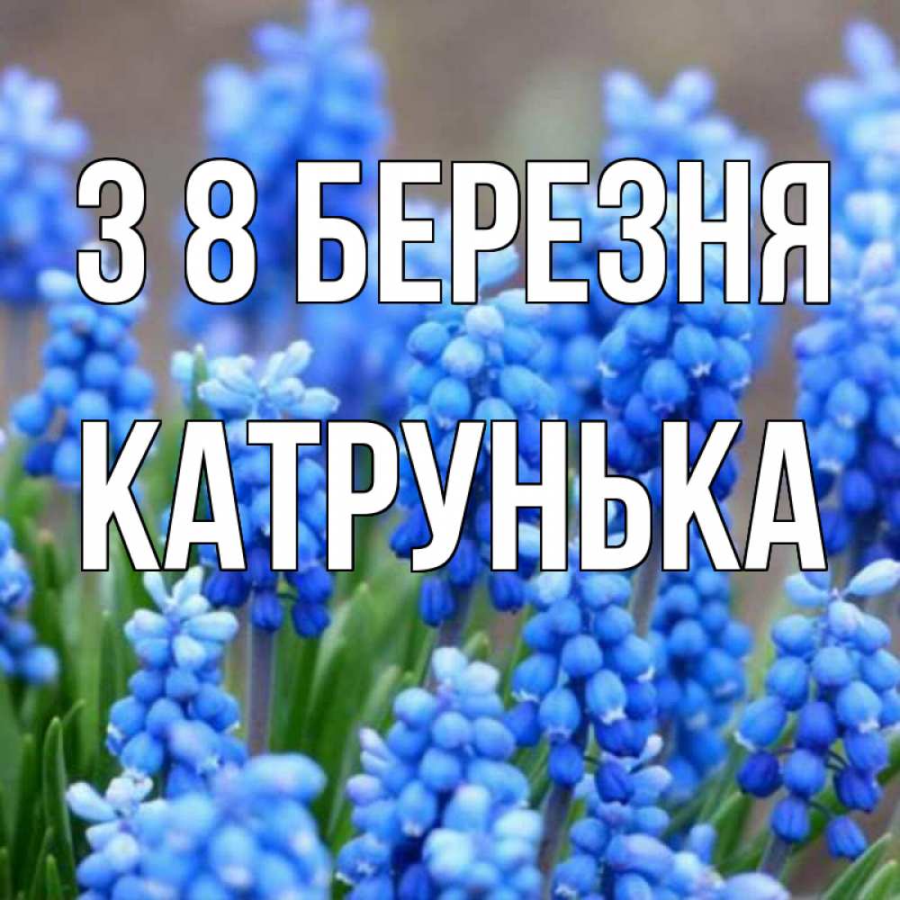 Открытка на каждый день з підписом, Катрунька З 8 БЕРЕЗНЯ Поздравительная открытка для женщин с цветами на праздничную дату Прикольна листівка з побажанням онлайн скачати безкоштовно 