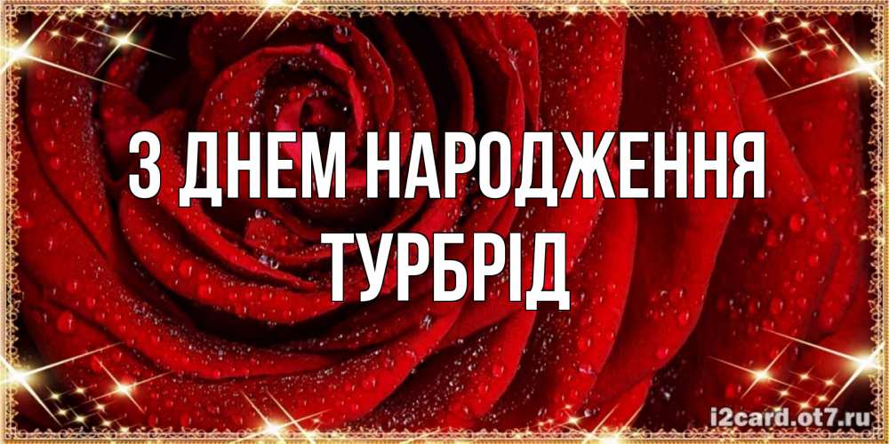 Открытка на каждый день з підписом, Турбрід З Днем народження роса на розе блестящая в лучах солнца Прикольна листівка з побажанням онлайн скачати безкоштовно 