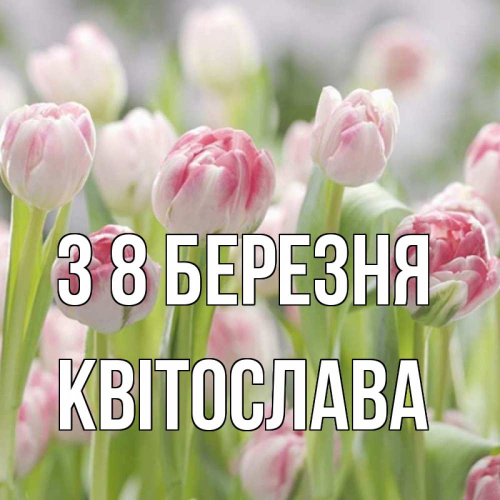 Открытка на каждый день з підписом, Квітослава З 8 БЕРЕЗНЯ цветы Прикольна листівка з побажанням онлайн скачати безкоштовно 