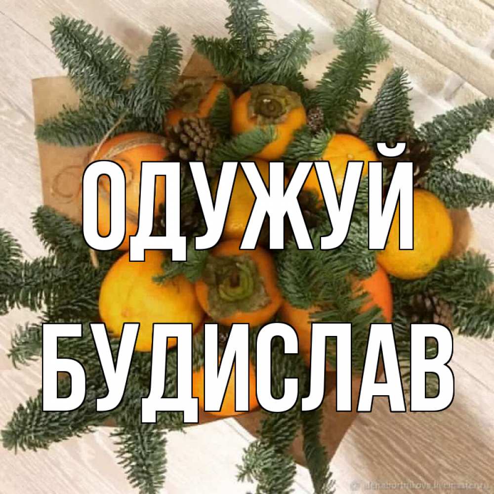 Открытка на каждый день з підписом, Будислав Одужуй апельсины и хурьма Прикольна листівка з побажанням онлайн скачати безкоштовно 