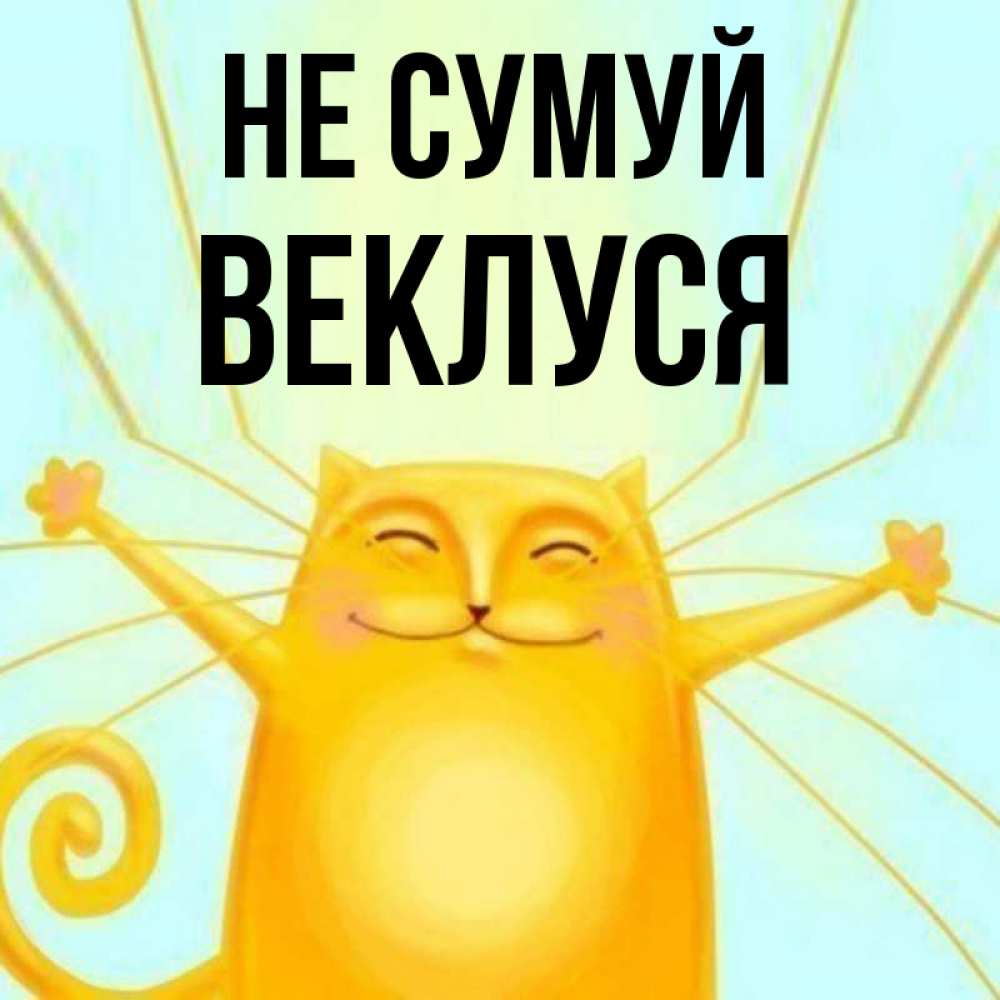 Открытка на каждый день з підписом, Веклуся Не сумуй обнимашки усатые Прикольна листівка з побажанням онлайн скачати безкоштовно 