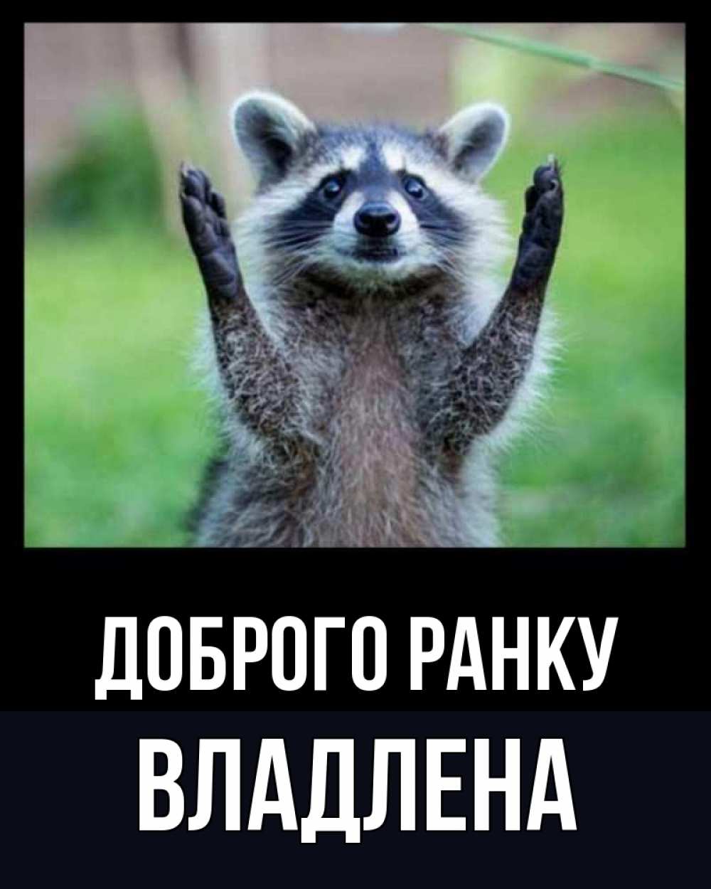 Открытка на каждый день з підписом, Владлена Доброго ранку хорошее настроение утречком Прикольна листівка з побажанням онлайн скачати безкоштовно 
