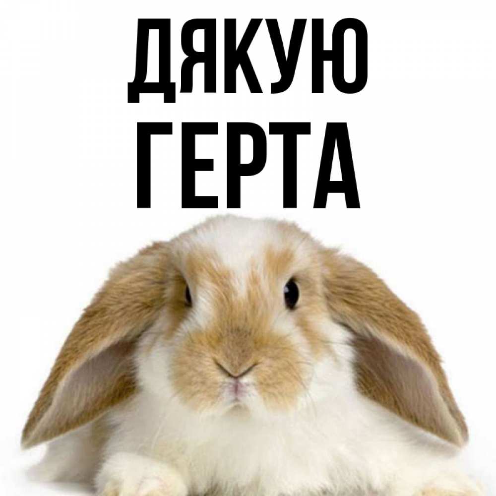 Открытка на каждый день з підписом, Герта Дякую коричнево белый заяц Прикольна листівка з побажанням онлайн скачати безкоштовно 