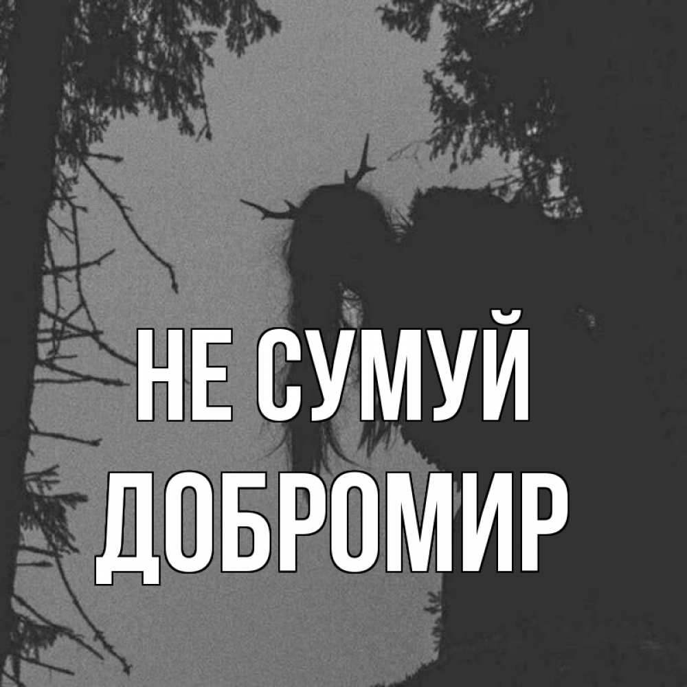 Открытка на каждый день з підписом, Добромир Не сумуй чудище лесное Прикольна листівка з побажанням онлайн скачати безкоштовно 
