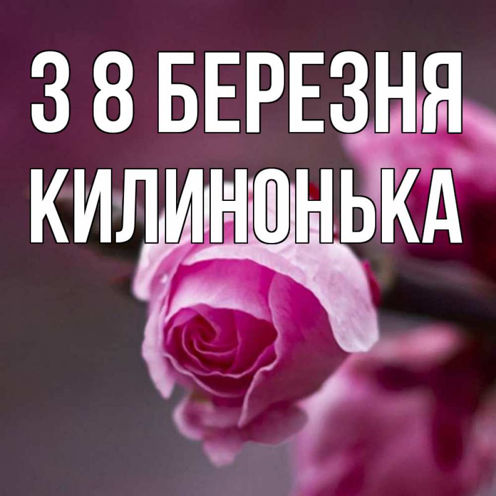 Открытка на каждый день з підписом, Килинонька З 8 БЕРЕЗНЯ весна Прикольна листівка з побажанням онлайн скачати безкоштовно 