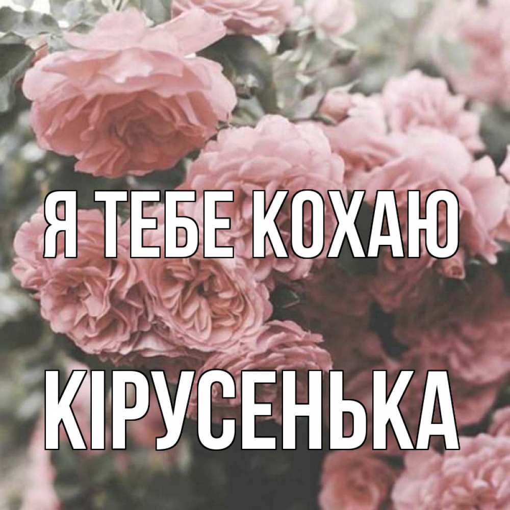 Открытка на каждый день з підписом, Кірусенька Я тебе кохаю розы 3 Прикольна листівка з побажанням онлайн скачати безкоштовно 