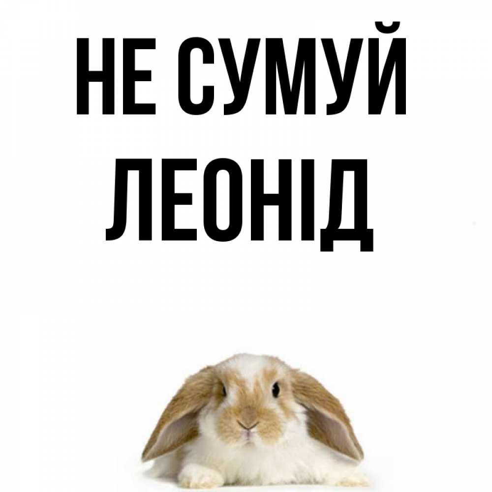 Открытка на каждый день з підписом, Леонід Не сумуй коричнево белый заяц с большими ушками Прикольна листівка з побажанням онлайн скачати безкоштовно 