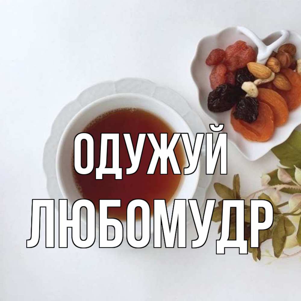 Открытка на каждый день з підписом, Любомудр Одужуй неизвестные растения Прикольна листівка з побажанням онлайн скачати безкоштовно 