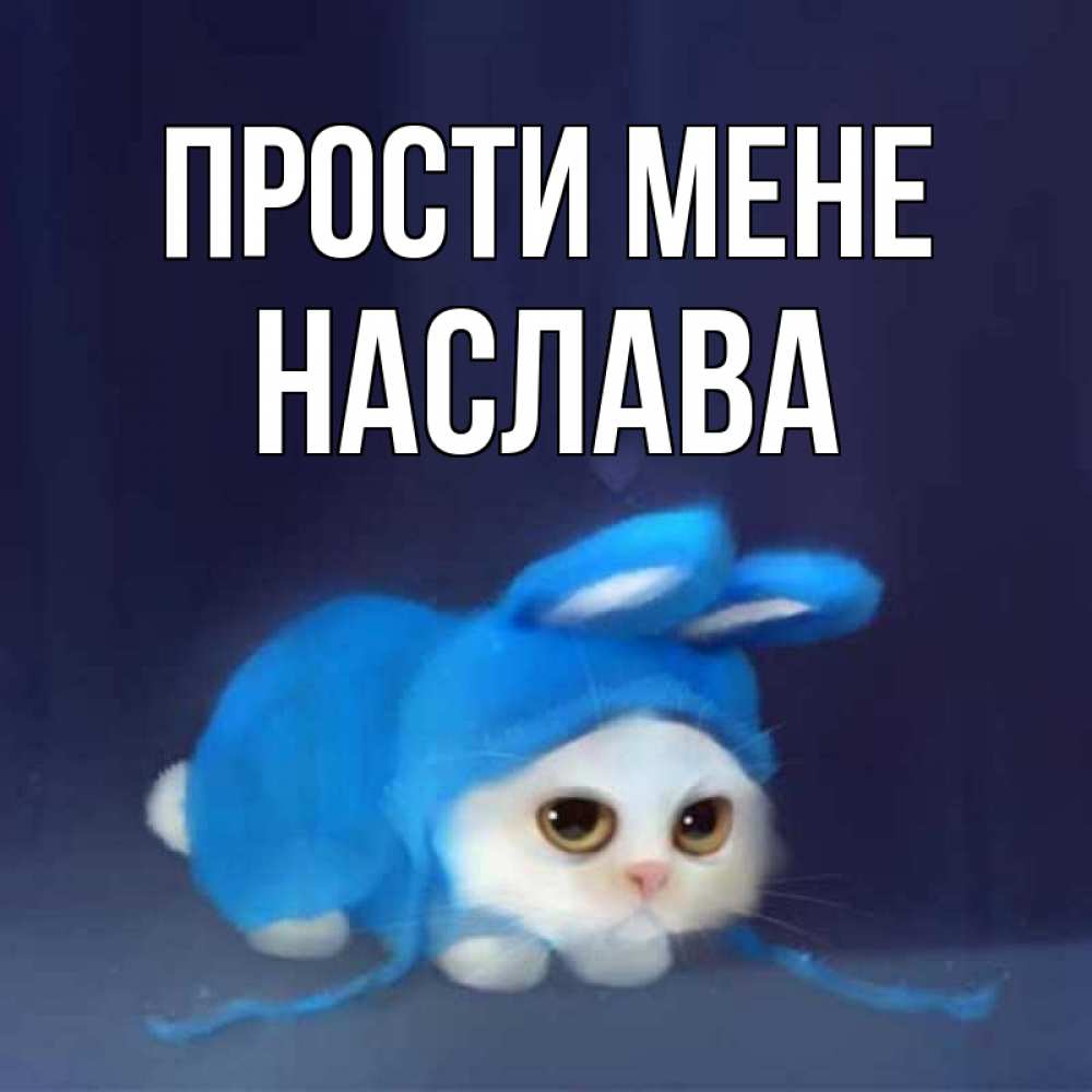 Открытка на каждый день з підписом, Наслава Прости мене невинный котозай просит прощения Прикольна листівка з побажанням онлайн скачати безкоштовно 