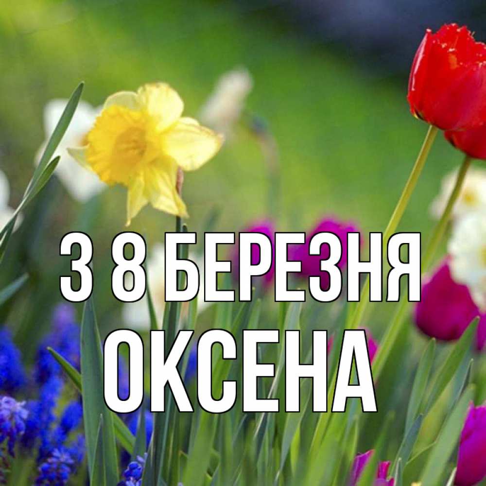 Открытка на каждый день з підписом, Оксена З 8 БЕРЕЗНЯ международный женский день 3 Прикольна листівка з побажанням онлайн скачати безкоштовно 