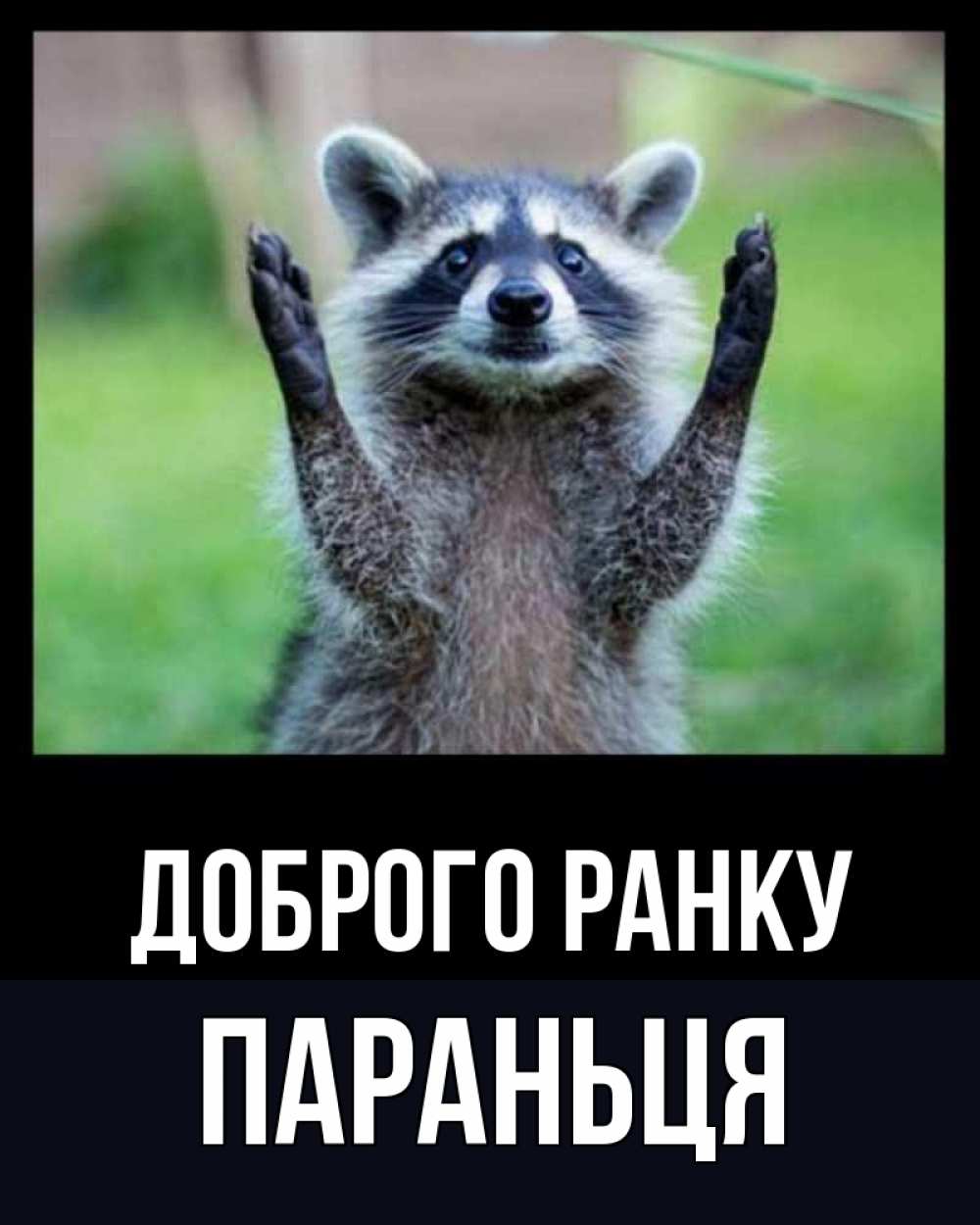 Открытка на каждый день з підписом, Параньця Доброго ранку хорошее настроение утречком Прикольна листівка з побажанням онлайн скачати безкоштовно 