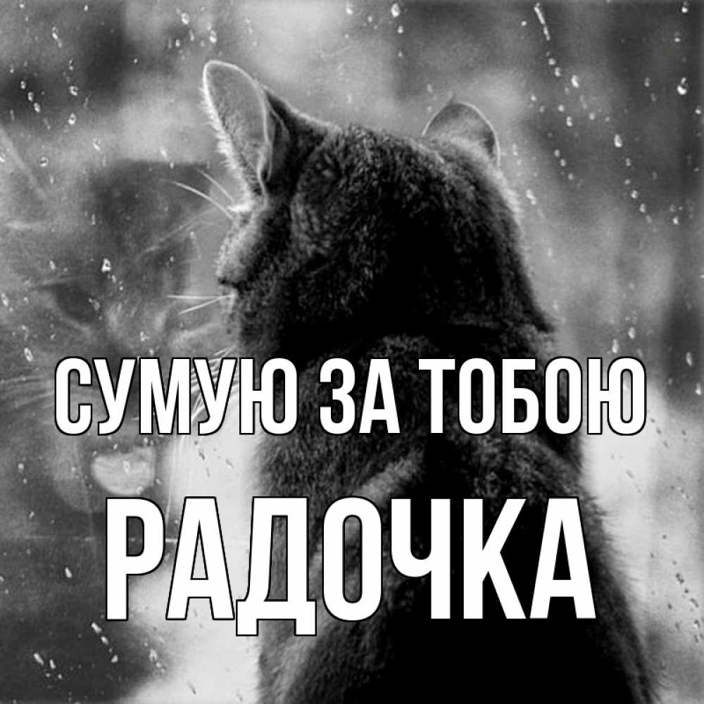 Открытка на каждый день з підписом, Радочка Сумую за тобою скорее ко мне приходи 1 Прикольна листівка з побажанням онлайн скачати безкоштовно 
