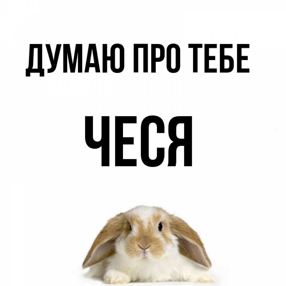 Открытка на каждый день з підписом, Чеся Думаю про тебе подписать своими руками онлайн Прикольна листівка з побажанням онлайн скачати безкоштовно 