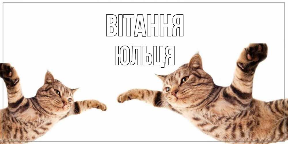 Открытка на каждый день з підписом, Юльця Вітання кот Прикольна листівка з побажанням онлайн скачати безкоштовно 