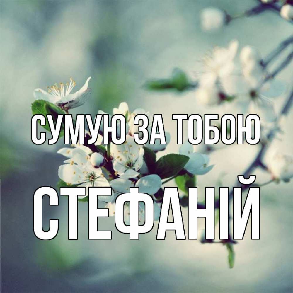 Открытка на каждый день з підписом, Стефаній Сумую за тобою весна Прикольна листівка з побажанням онлайн скачати безкоштовно 