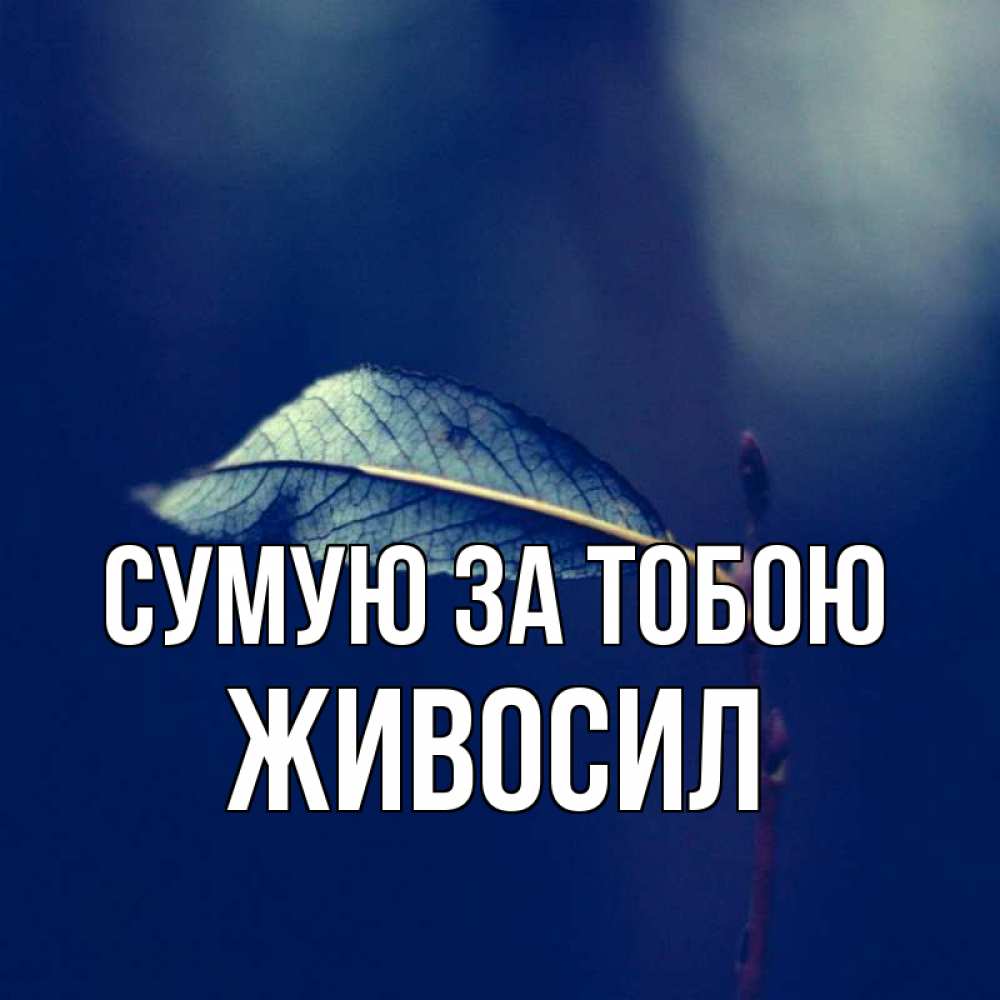 Открытка на каждый день з підписом, Живосил Сумую за тобою одна ветка 1 Прикольна листівка з побажанням онлайн скачати безкоштовно 