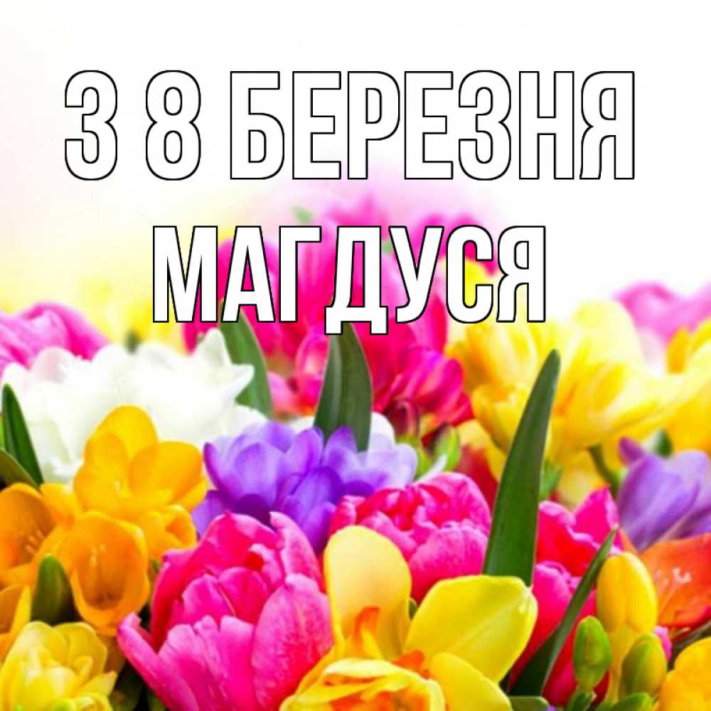 Открытка на каждый день з підписом, Магдуся З 8 БЕРЕЗНЯ тюльпаны Прикольна листівка з побажанням онлайн скачати безкоштовно 