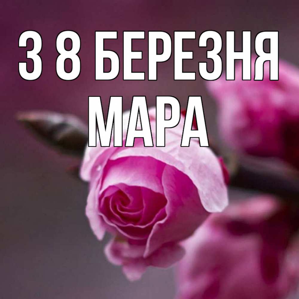Открытка на каждый день з підписом, Мара З 8 БЕРЕЗНЯ весна Прикольна листівка з побажанням онлайн скачати безкоштовно 