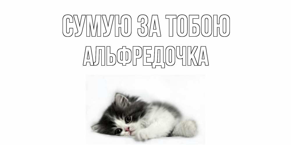 Открытка на каждый день з підписом, Альфредочка Сумую за тобою кот, скука Прикольна листівка з побажанням онлайн скачати безкоштовно 