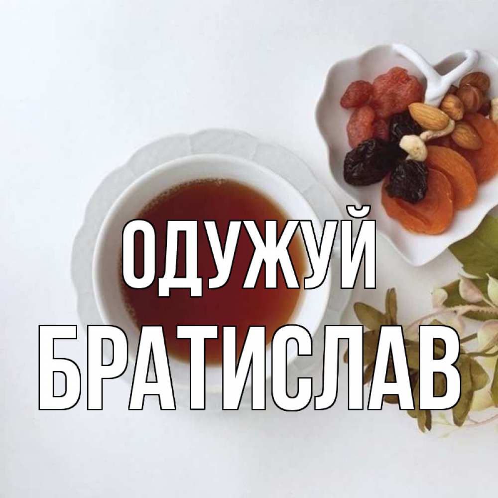 Открытка на каждый день з підписом, Братислав Одужуй неизвестные растения Прикольна листівка з побажанням онлайн скачати безкоштовно 