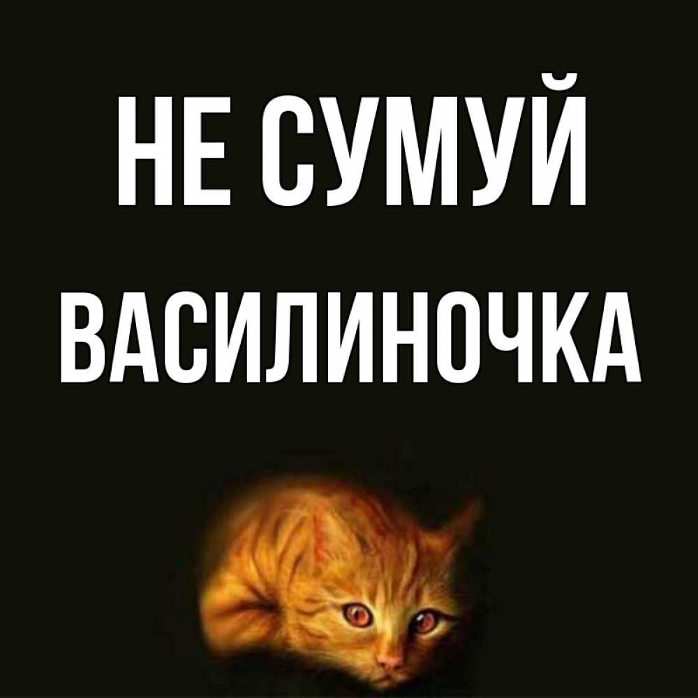Открытка на каждый день з підписом, Василиночка Не сумуй лежащий кот в темноте Прикольна листівка з побажанням онлайн скачати безкоштовно 