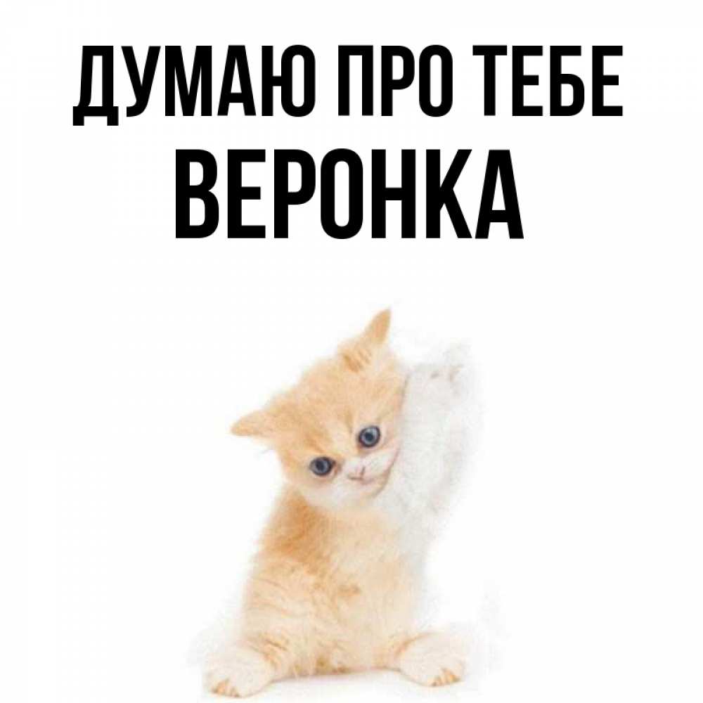 Открытка на каждый день з підписом, Веронка Думаю про тебе зверушки и милота Прикольна листівка з побажанням онлайн скачати безкоштовно 