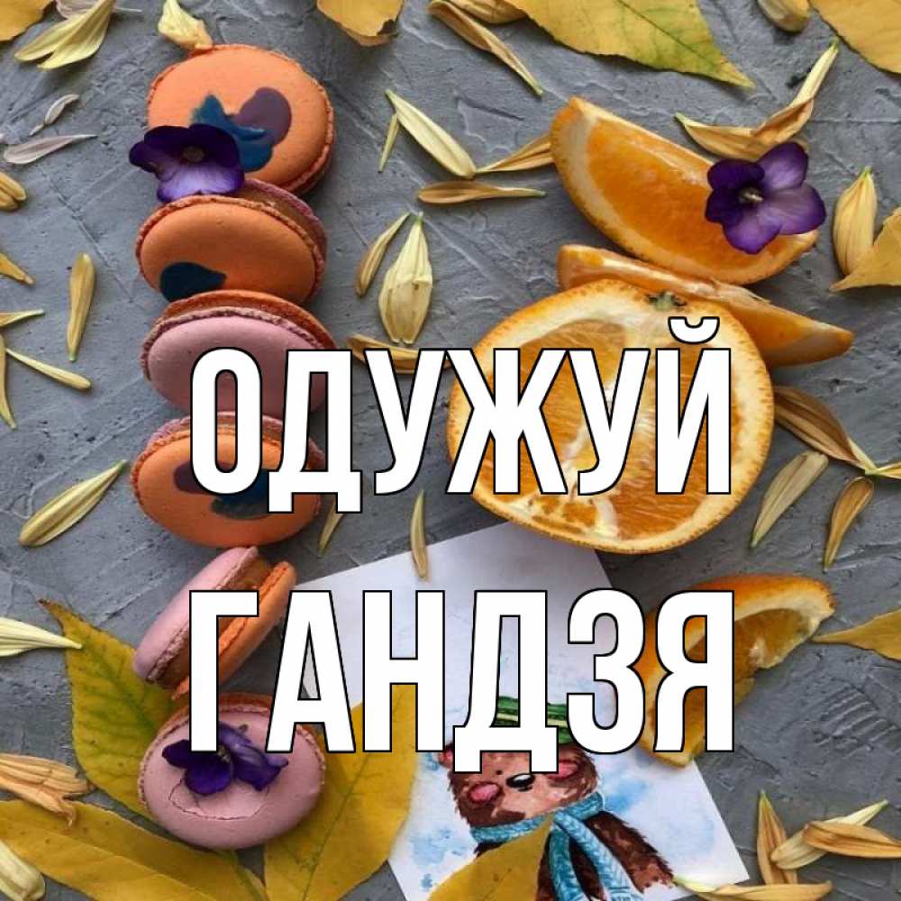 Открытка на каждый день з підписом, Гандзя Одужуй не болейте Прикольна листівка з побажанням онлайн скачати безкоштовно 