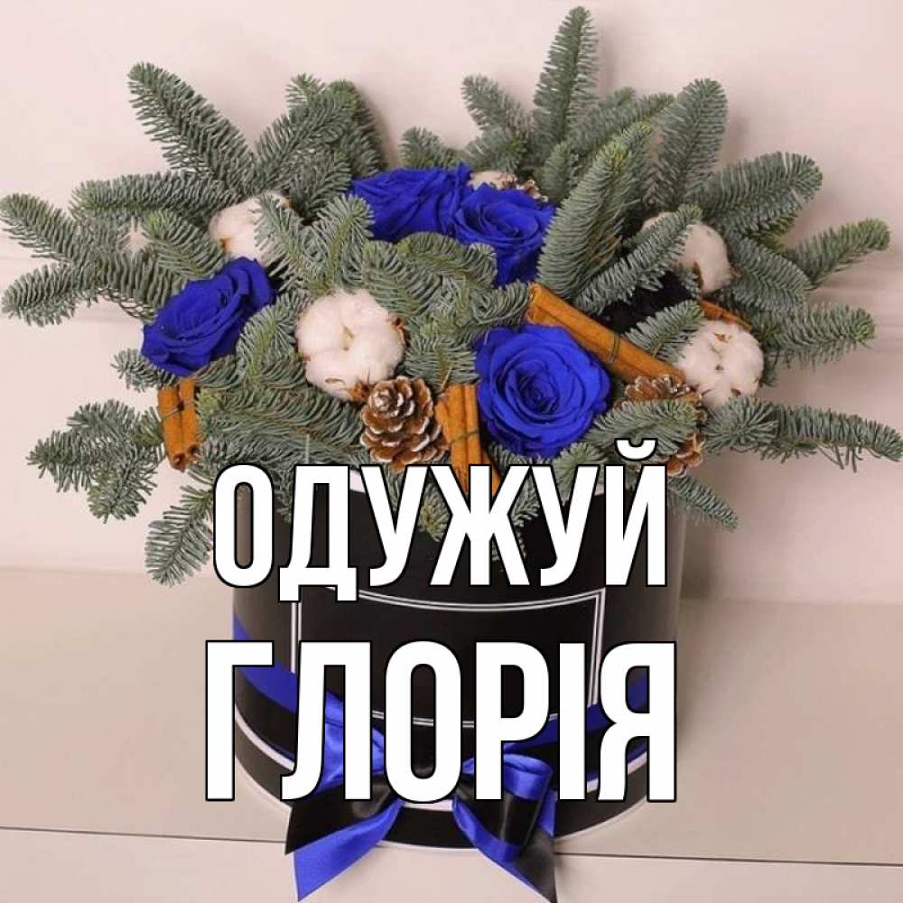 Открытка на каждый день з підписом, Глорія Одужуй короче кто то загрузил эти шишки Прикольна листівка з побажанням онлайн скачати безкоштовно 