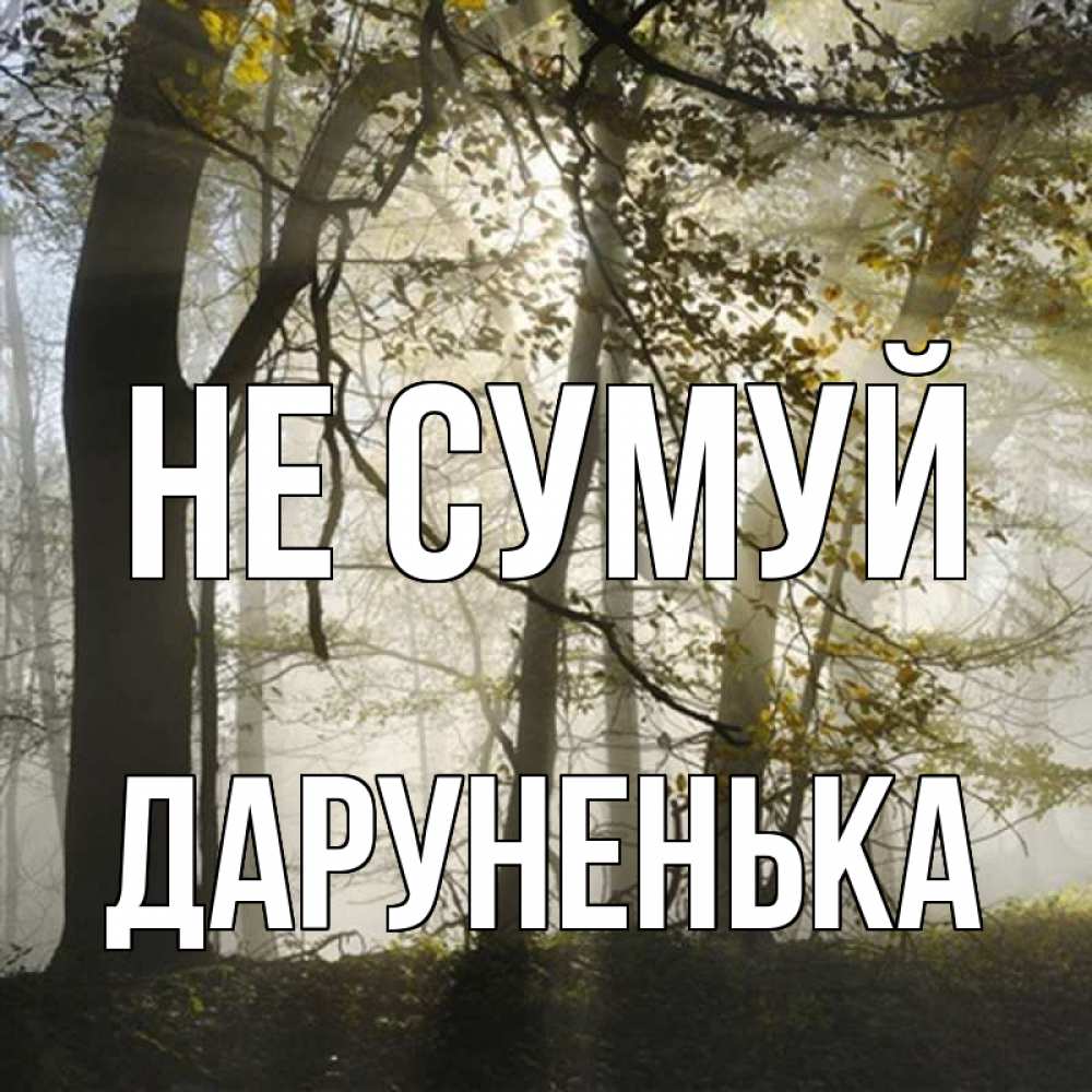 Открытка на каждый день з підписом, Даруненька Не сумуй лес и свет Прикольна листівка з побажанням онлайн скачати безкоштовно 