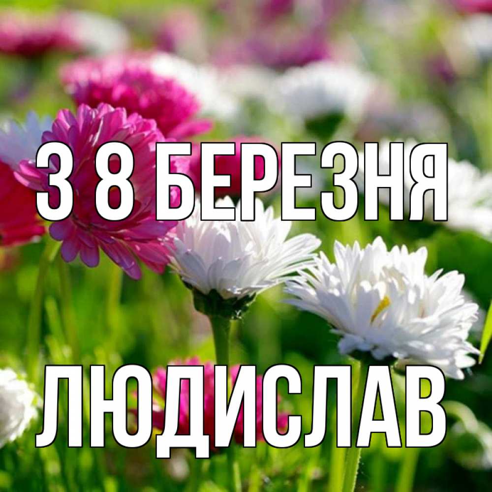 Открытка на каждый день з підписом, Людислав З 8 БЕРЕЗНЯ международный женский день 1 Прикольна листівка з побажанням онлайн скачати безкоштовно 