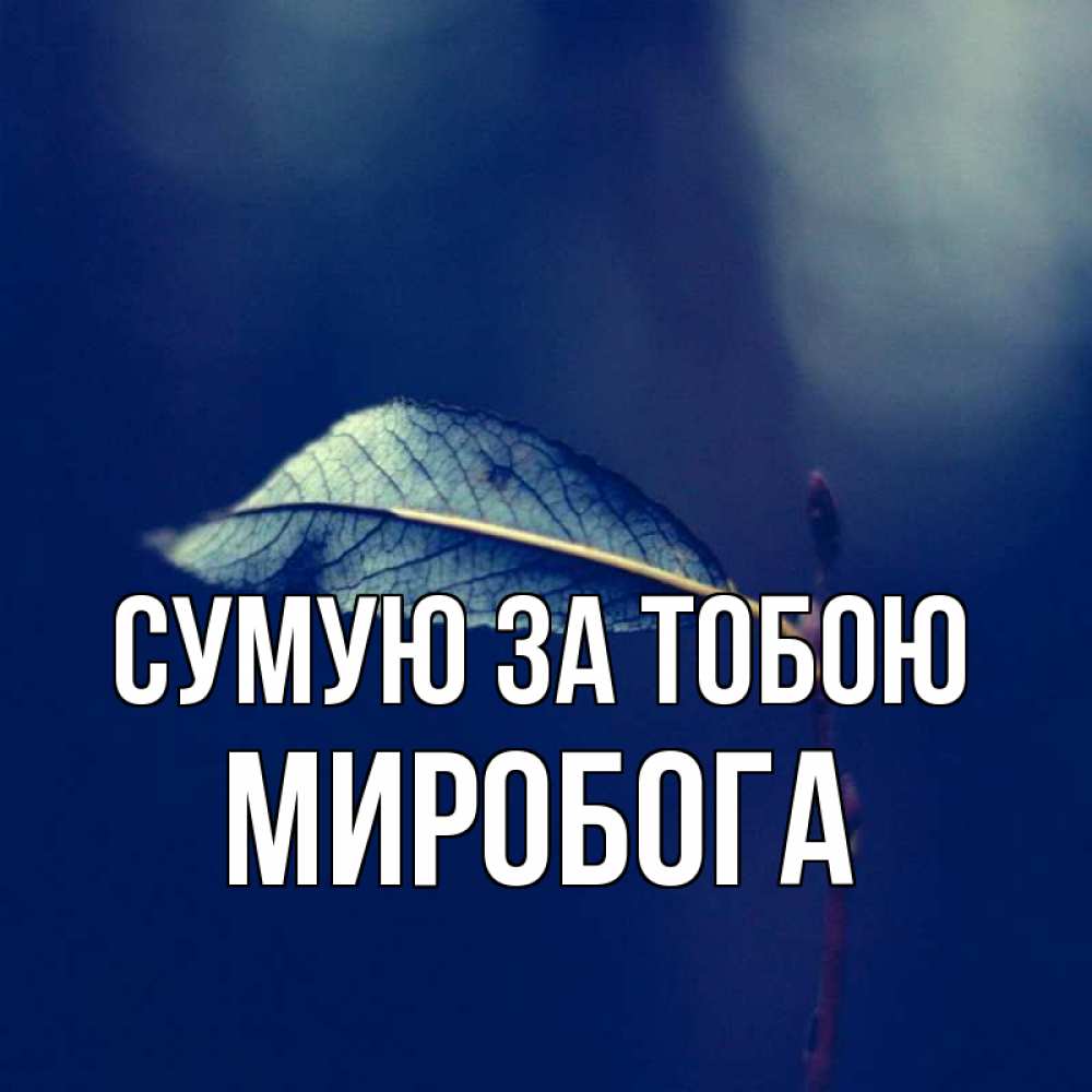 Открытка на каждый день з підписом, Миробога Сумую за тобою одна ветка 1 Прикольна листівка з побажанням онлайн скачати безкоштовно 