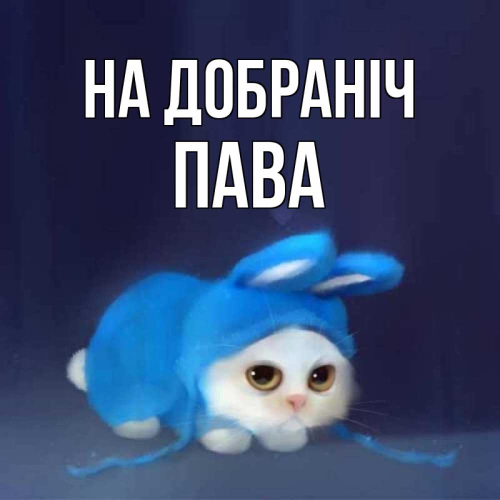 Открытка на каждый день з підписом, Пава На добраніч кот в голубом костюме кролика с ушками Прикольна листівка з побажанням онлайн скачати безкоштовно 