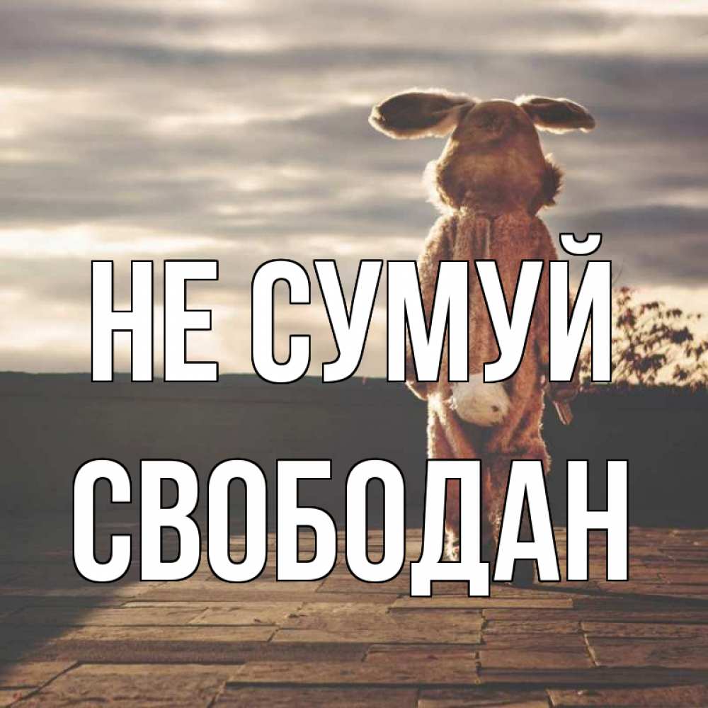 Открытка на каждый день з підписом, Свободан Не сумуй со спины Прикольна листівка з побажанням онлайн скачати безкоштовно 