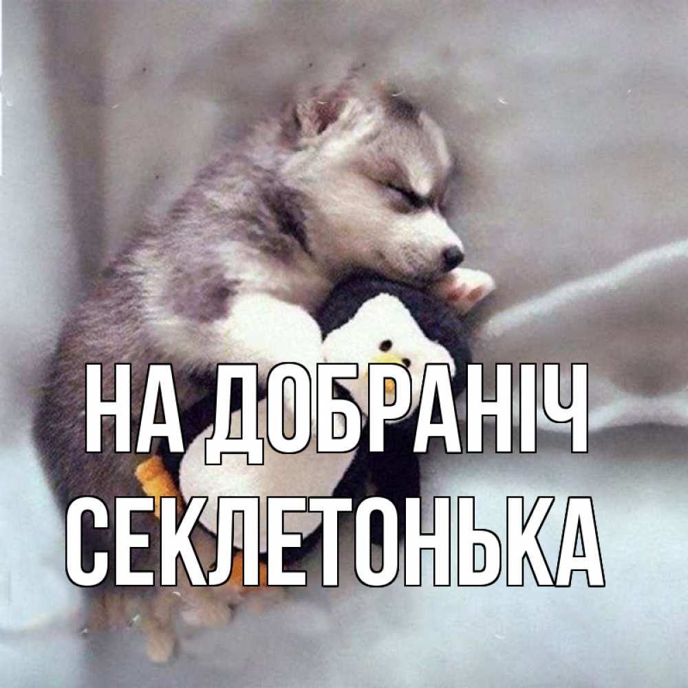 Открытка на каждый день з підписом, Секлетонька На добраніч обнимашки щенка и пингвина Прикольна листівка з побажанням онлайн скачати безкоштовно 